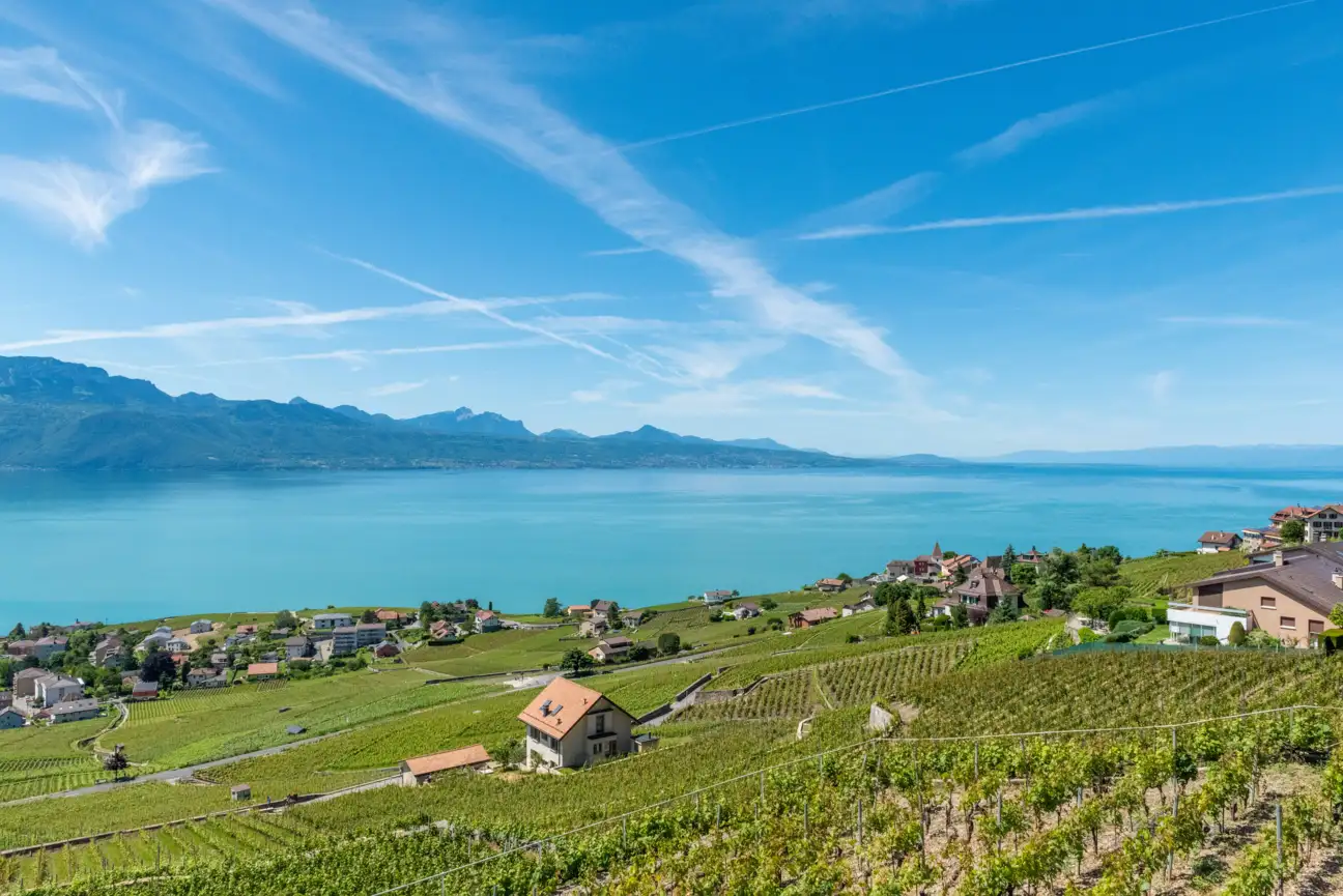 Vignes de Lavaux avec un village et le lac L&eacute;man en arri&egrave;re plan