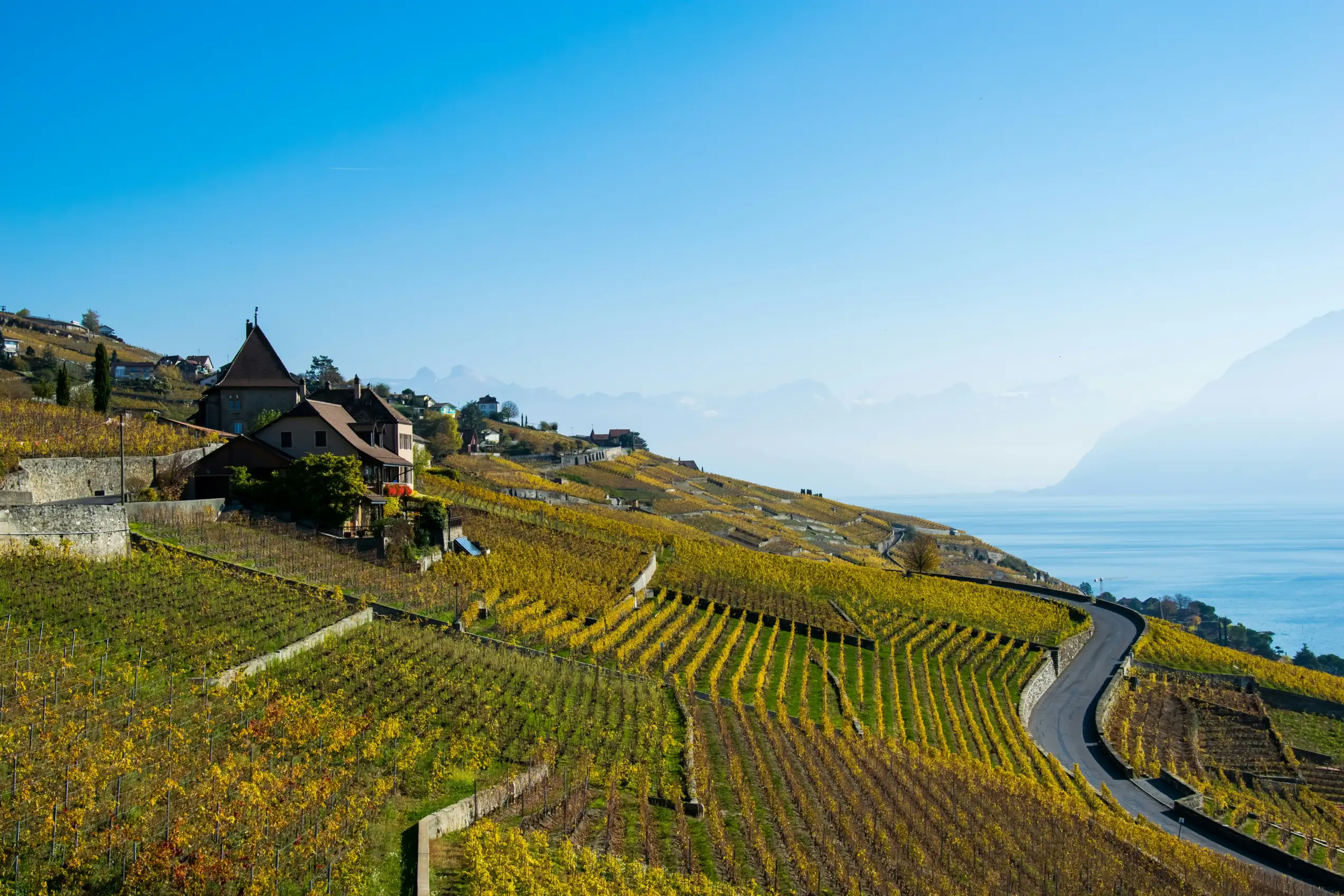 Paysage du Lavaux avec ses vigne en terrasse et le lac L&eacute;man