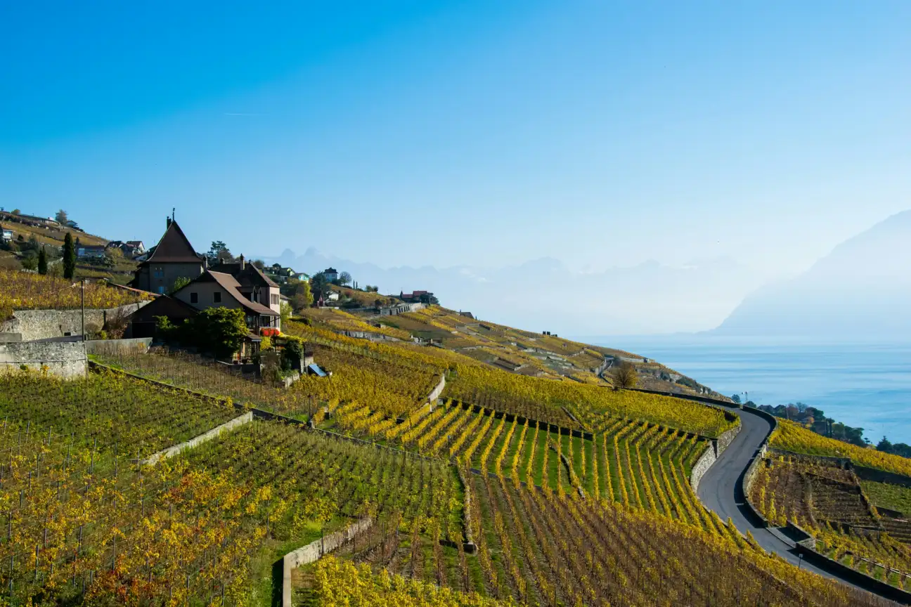 Paysage du Lavaux avec ses vigne en terrasse et le lac L&eacute;man