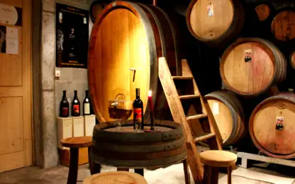 D&eacute;gustation &agrave; notre cave