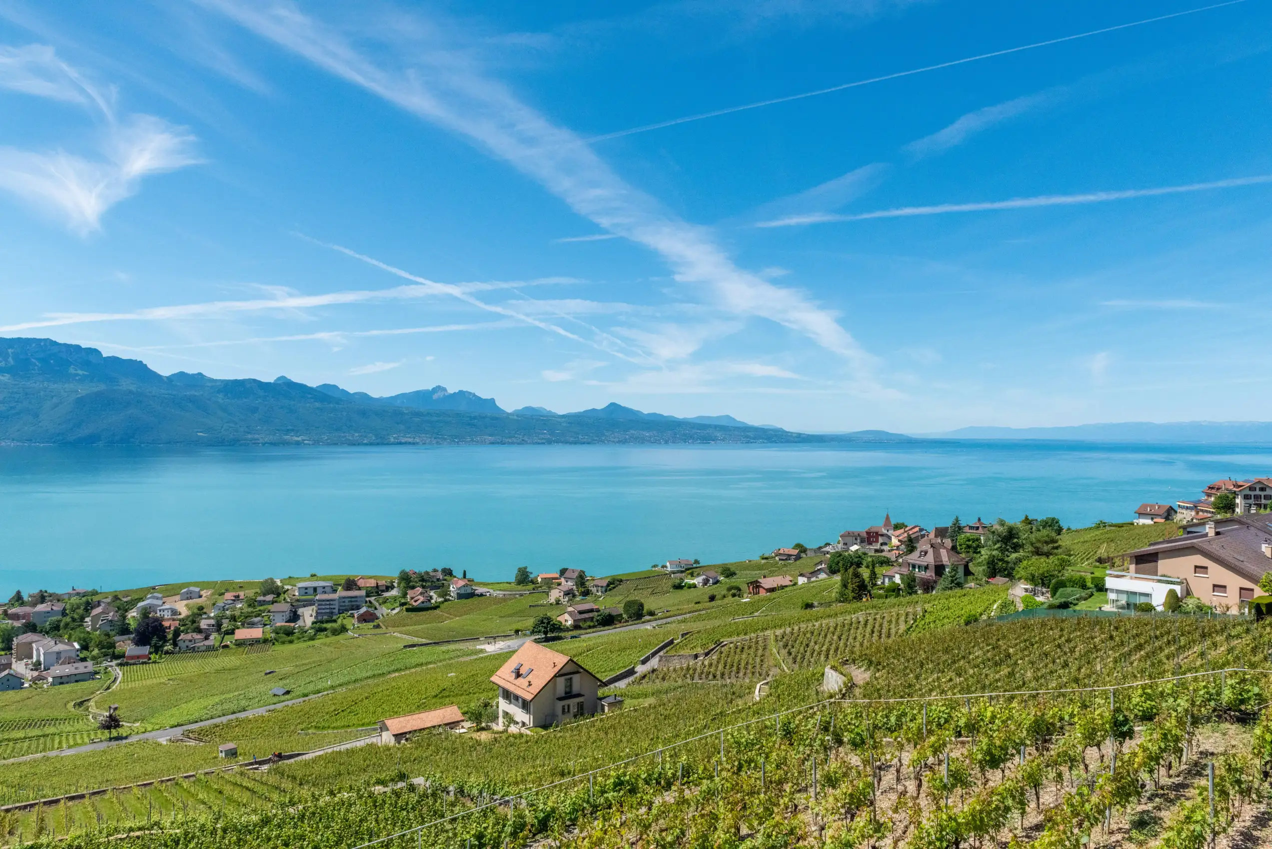 Vignes de Lavaux avec un village et le lac L&eacute;man en arri&egrave;re plan