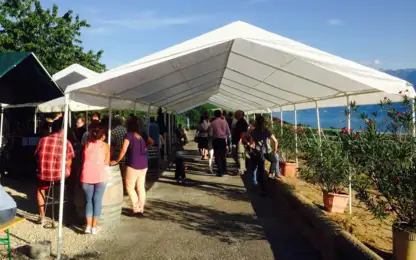 Journ&eacute;e des propri&eacute;taires de ceps de vigne