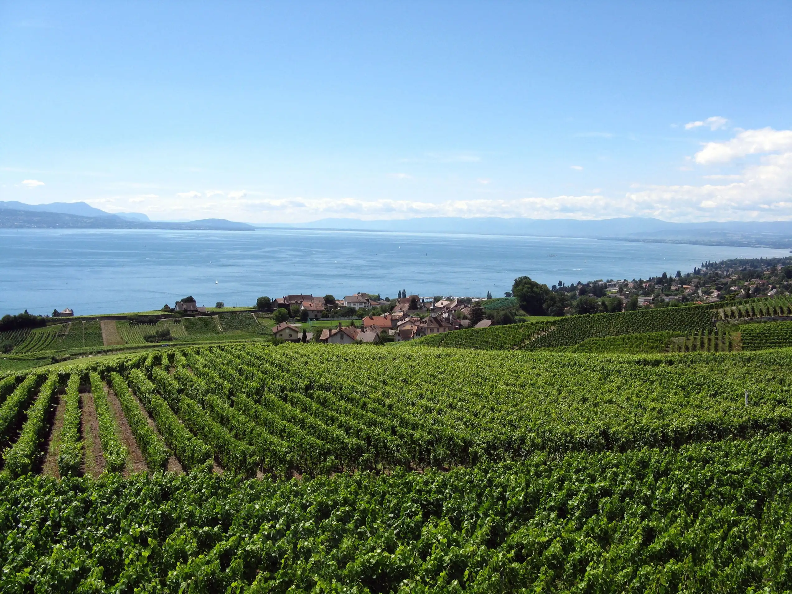 Sp&eacute;cialit&eacute;s&nbsp;du domaine